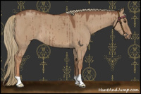 Horse Color:Red Dun Brindle 