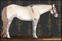 Horse Color:Liver Red Dun Roan Pearl Onyx Rabicano 