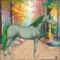Horse Color:Watercolor Bay Rabicano 