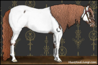 Horse Color:Liver Red Roan Appaloosa 