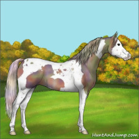 Horse Color:Nacre Silver Black Splash Tobiano 