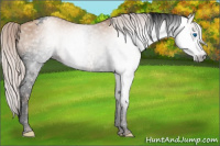 Horse Color:Gray Void Silver Classic Champagne Splash Tobiano 