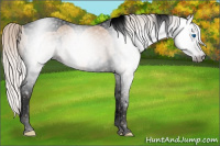 Horse Color:Gray Void Silver Classic Champagne Splash Tobiano 