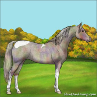 Horse Color:Nacre Silver Blue Roan Tobiano 