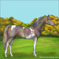 Horse Color:Nacre Silver Black Tobiano 