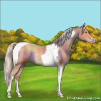 Horse Color:Nacre Silver Classic Champagne Tobiano 