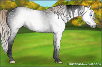 Horse Color:Gray Void Silver Classic Cream Champagne Splash Tobiano 