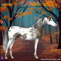 Horse Color:Smoky Grullo Splash Tobiano 