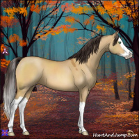 Horse Color:Sable Cream Champagne Dun Splash 