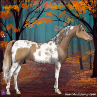Horse Color:Chestnut Tobiano 