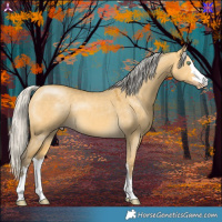 Horse Color:Silver Amber Cream Champagne Dun 