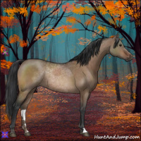 Horse Color:Brown Dun 