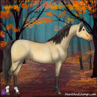 Horse Color:Buckskin Dun 