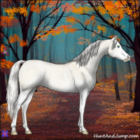 Horse Color:White Spotted Silver Perlino Dun 