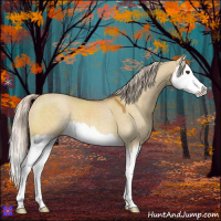 Horse Color:Palomino Dun Sabino Splash 