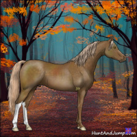 Horse Color:Chocolate Palomino 