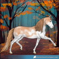 Horse Color:Chestnut Splash 