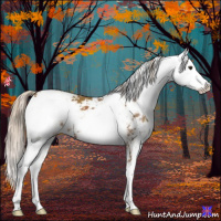 Horse Color:Chestnut Sabino 