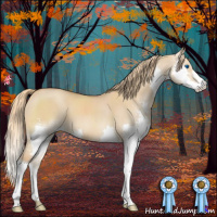 Horse Color:Red Dun Splash 