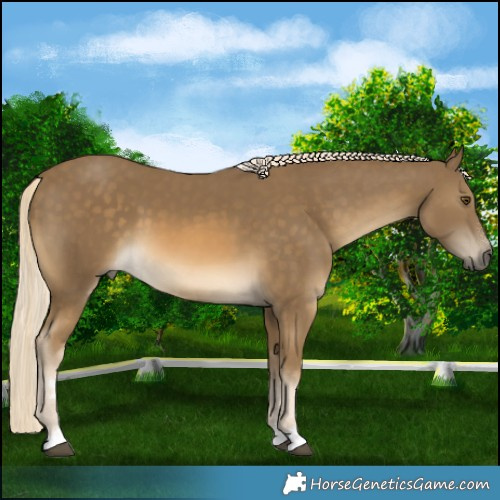 Horse Color:Chocolate Palomino Mushroom 
