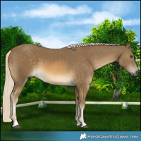Horse Color:Chocolate Palomino Mushroom 
