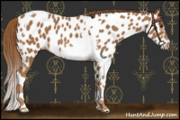 Horse Color:Chestnut Tobiano Frame Appaloosa