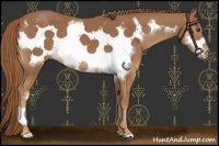 Horse Color:Chestnut Frame 
