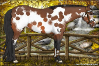 Horse Color:Bay Frame