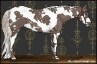 Horse Color:Silver Blue Roan Splash Tobiano 