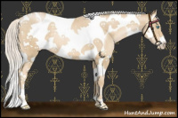 Horse Color:Palomino Pearl Splash Tobiano Frame 