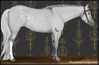 Horse Color:Silver Grullo Chinchilla Rabicano