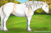Horse Color:White Spotted Silver Classic Cream Champagne Splash 