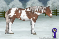 Horse Color:White Spotted Silver Black Tobiano Frame Rabicano 