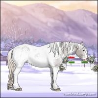 Horse Color:White Spotted Silver Black Tobiano Rabicano 