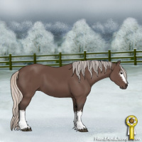 Horse Color:White Spotted Silver Black 