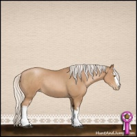 Horse Color:White Spotted Silver Black Pearl Tobiano Rabicano 