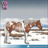Horse Color:White Spotted Silver Black Tobiano 