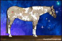 Horse Color:White Spotted Liver Red Dun