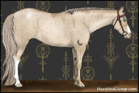 Horse Color:Chocolate Palomino Pearl Dun Appaloosa Brindle 