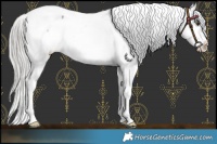 Horse Color:Liver Red Roan Mushroom Splash Appaloosa Rabicano