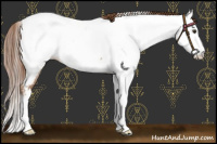 Horse Color:Red Dun Roan Splash Appaloosa Brindle 