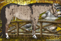 Horse Color:Liver Red Dun Sabino Brindle