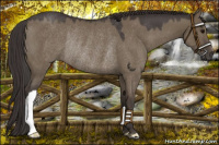 Horse Color:Smoky Grullo Rabicano 