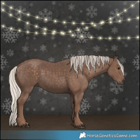Horse Color:Silver Black 