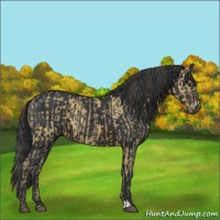 Horse Color:Buckskin  and Brown 
