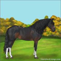 Horse Color:Buckskin Tobiano Varnish  and Brown 