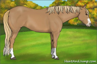 Horse Color:Chestnut Splash Frame 