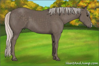 Horse Color:Silver Black 