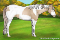 Horse Color:Chocolate Palomino Pearl Tobiano Frame  and Chocolate Palomino Pearl Tobiano Frame 
