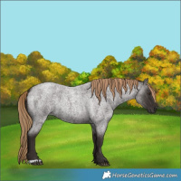 Horse Color:Liver Red Roan Rabicano 